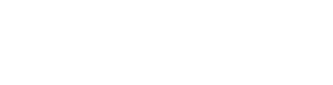 Bizmaster